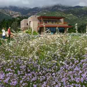 Pritzlaff Conservation Center and Island View Garden