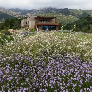 Pritzlaff Conservation Center and Island View Garden