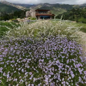 Pritzlaff Conservation Center and Island View Garden