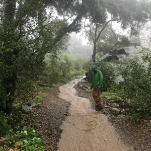 Water flowing down Canyon Trail during rainstorm