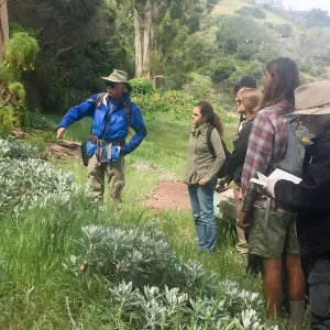 California Botanist Society trip to Santa Cruz Island with Steve Junak