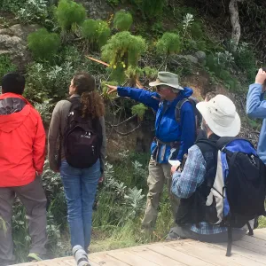 California Botanist Society trip to Santa Cruz Island with Steve Junak