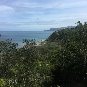 California Botanist Society trip to Santa Cruz Island with Steve Junak