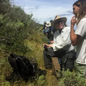 California Botanist Society trip to Santa Cruz Island with Steve Junak