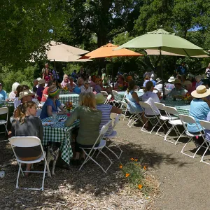 2017 Volunteer Appreciation Luncheon