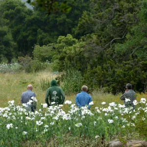 Morning Meadow Management Meeting
