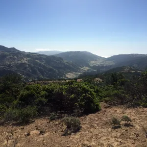 Santa Cruz Island Trip, Central Valley
