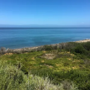 Santa Cruz Island Trip, Restored wetland