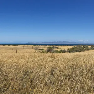 Santa Rosa Island Trip, Group hiking along Coastal Road looking towards airstrip and Santa Cruz Island