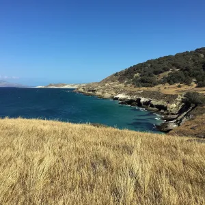 Santa Rosa Island Trip, coast looking towards Torrey Pines