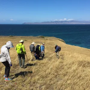 Santa Rosa Island Trip, group on coast, Steve Junak