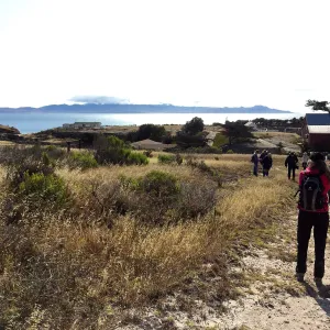 Santa Rosa Island Trip, Looking out towards Santa Cruz Island