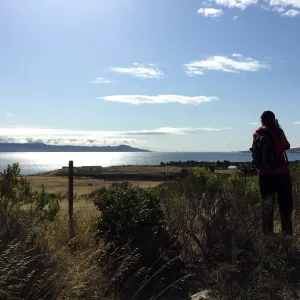 Santa Rosa Island Trip, Looking out towards Santa Cruz Island, Nancy Deacon-Davis