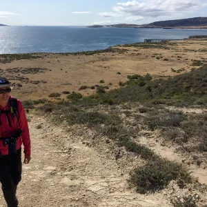 Santa Rosa Island Trip, Nancy Deacon-Davis hiking to Carrington Point, looking back towards dock