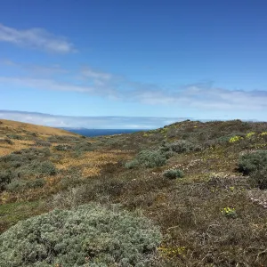 Santa Rosa Island Trip, Looking out towards San Miguel Island, hiking to Carrington Point