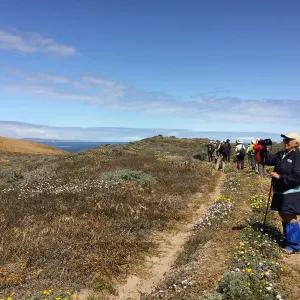Santa Rosa Island Trip, Looking out towards San Miguel Island, Inge Rose and group hiking to Carrington Point