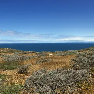 Santa Rosa Island Trip, Looking out towards San Miguel Island and mainland, Nancy Deacon-Davis, hiking to Carrington Point