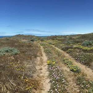Santa Rosa Island Trip, Looking out towards San Miguel Island, hiking to Carrington Point