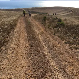 Santa Rosa Island Trip, hiking on Smith Highway to Lobo Canyon