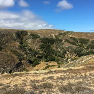Santa Rosa Island Trip, hiking on Smith Highway to Lobo Canyon
