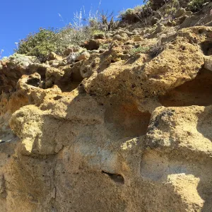 Santa Rosa Island Trip, hiking on Smith Highway to Lobo Canyon