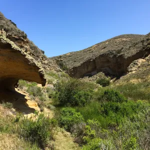 Santa Rosa Island Trip, Lobo Canyon