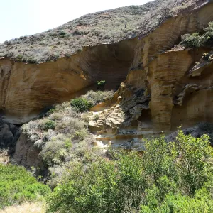 Santa Rosa Island Trip, Lobo Canyon
