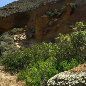 Santa Rosa Island Trip, Lobo Canyon