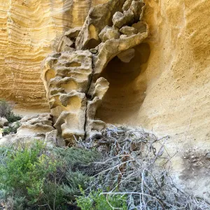 Santa Rosa Island Trip, Lobo Canyon