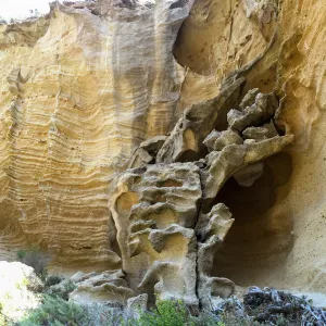 Santa Rosa Island Trip, Lobo Canyon