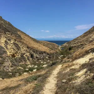 Santa Rosa Island Trip, Lobo Canyon