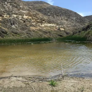 Santa Rosa Island Trip, Lobo Canyon beach
