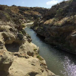 Santa Rosa Island Trip, slough