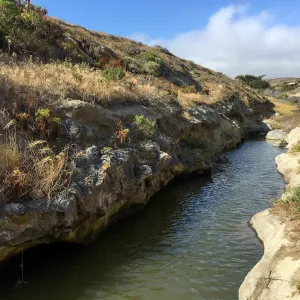 Santa Rosa Island Trip, Slough