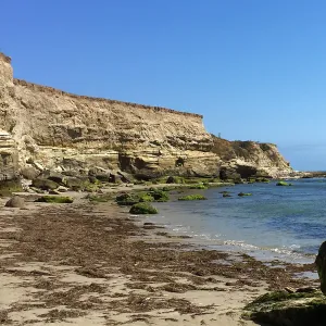 Santa Rosa Island Trip, Beach