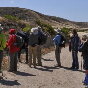 Santa Rosa Island Trip, Group hiking along Coastal Road