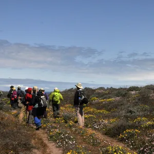 Santa Rosa Island Trip, Group walking towards Carrington Point