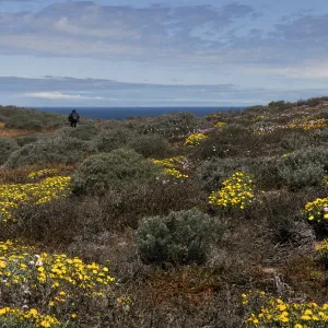 Santa Rosa Island Trip, Group walking towards Carrington Point