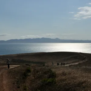 Santa Rosa Island Trip, Group hiking along Smith Highway towards Lobo Canyon