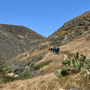 Santa Rosa Island Trip, group hiking in Lobo Canyon (Prickly-pear)