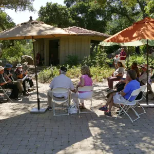 Free Seniors Day with music by Long Gone Daddies