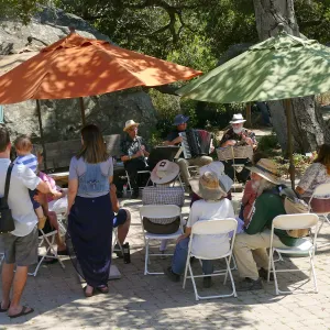 Free Seniors Day with music by Long Gone Daddies