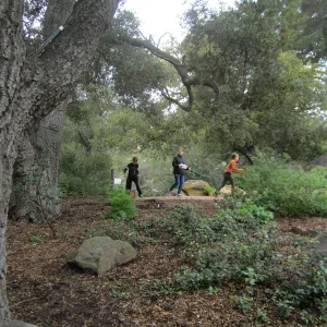 BranchOut Kids Outdoor Activity Pilot Project