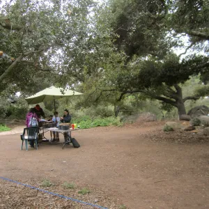 BranchOut Kids Outdoor Activity Pilot Project