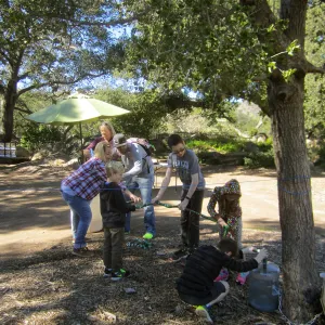 BranchOut Kids Outdoor Activity Pilot Project