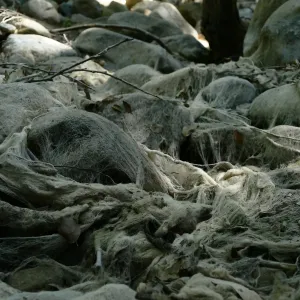 Ghost creek, lower creek crossing