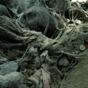 Ghost creek, lower creek crossing