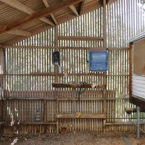 Garden Growers Lath House before start of repairs. Interior, west wall.