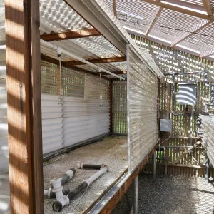 Garden Growers Lath House before start of repairs. Heated mist bed in northwest corner.