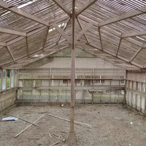 Garden Growers Lath House at start of repairs. Interior looking east.